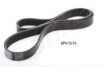 ASHIKA 112-6PK1075 V-Ribbed Belts